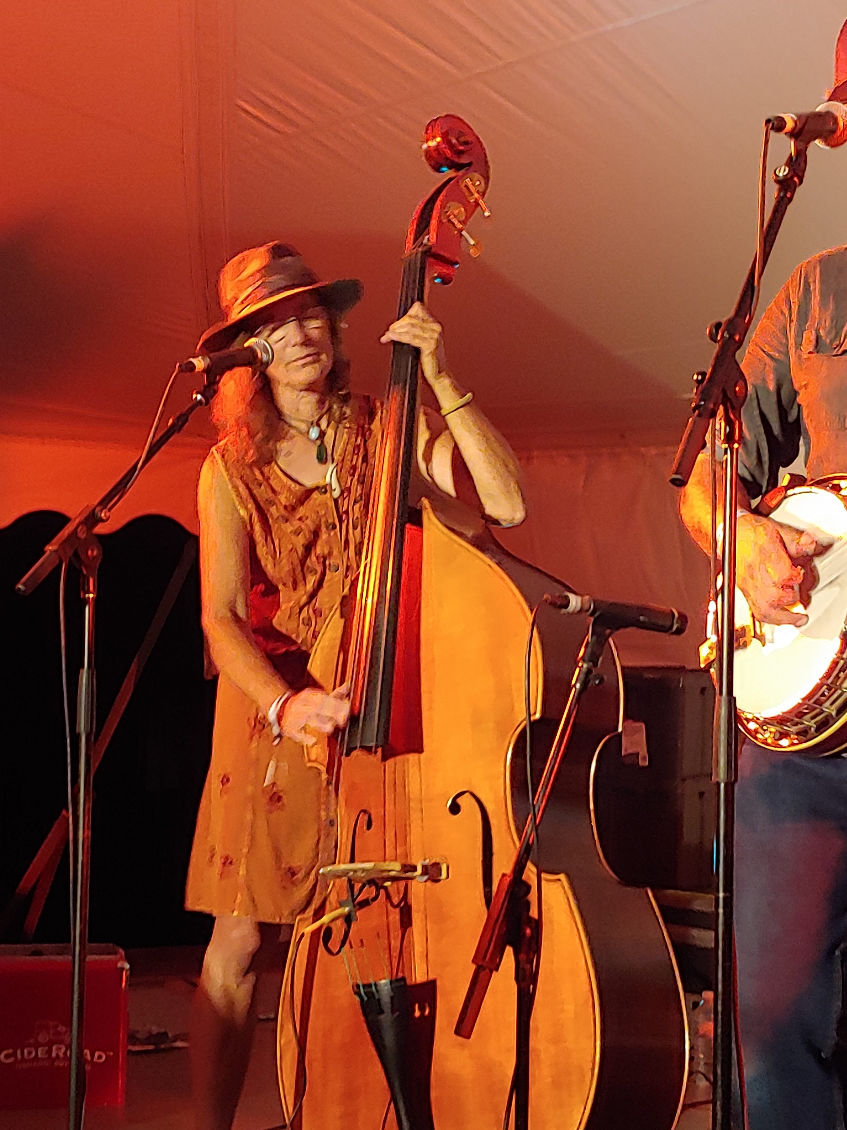 BegStealOrBorrow2018-08-168-08-16GreenMountainBluegrassAndRootsFestivalManchesterVT (4).jpg